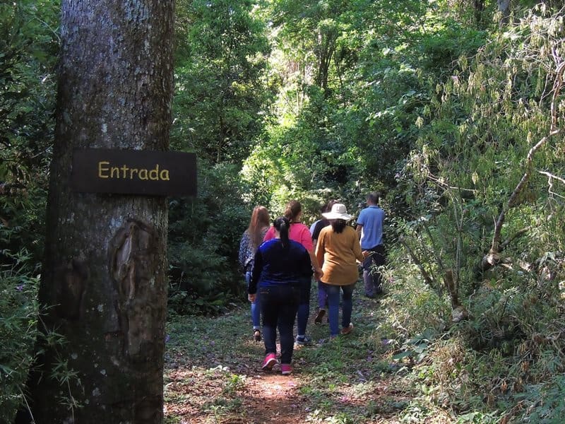 El sendero interpretativo de la comunidad Yvytú Porá fue declarado patrimonio cultural y turístico