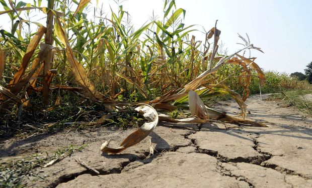 Las sequías y las precipitaciones extremas son un flagelo en la región