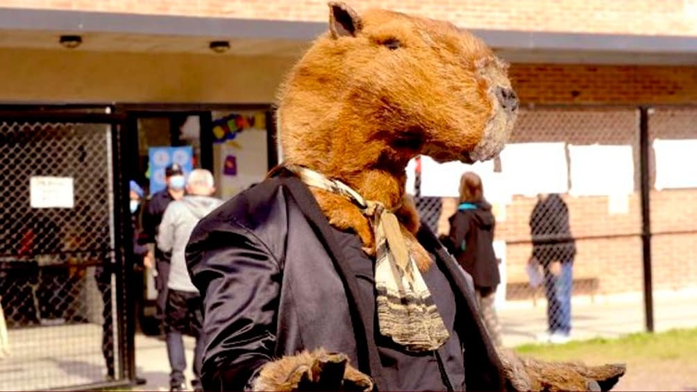 Las perlas de las PASO en imágenes