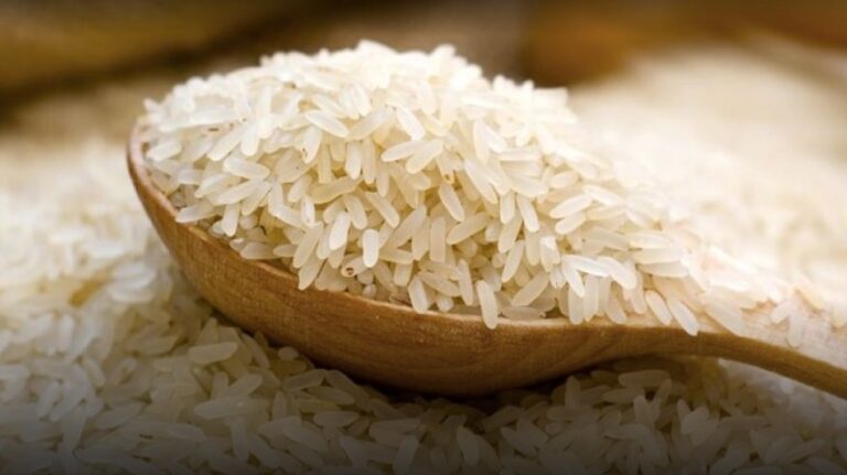 Legislatura: buscan incentivar la producción de arroz orgánico en Misiones