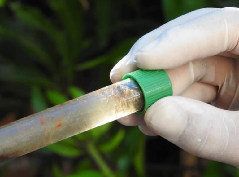 Lucha contra el dengue: el lunes comenzará un nuevo operativo LIRAa en Posadas