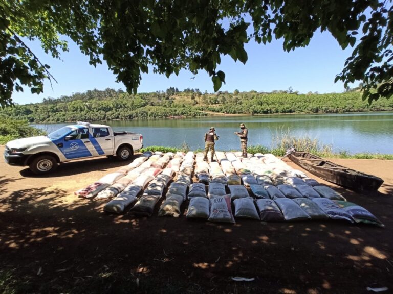 El Soberbio: Prefectura secuestró más de cinco toneladas de soja ilegal a orillas del río Uruguay