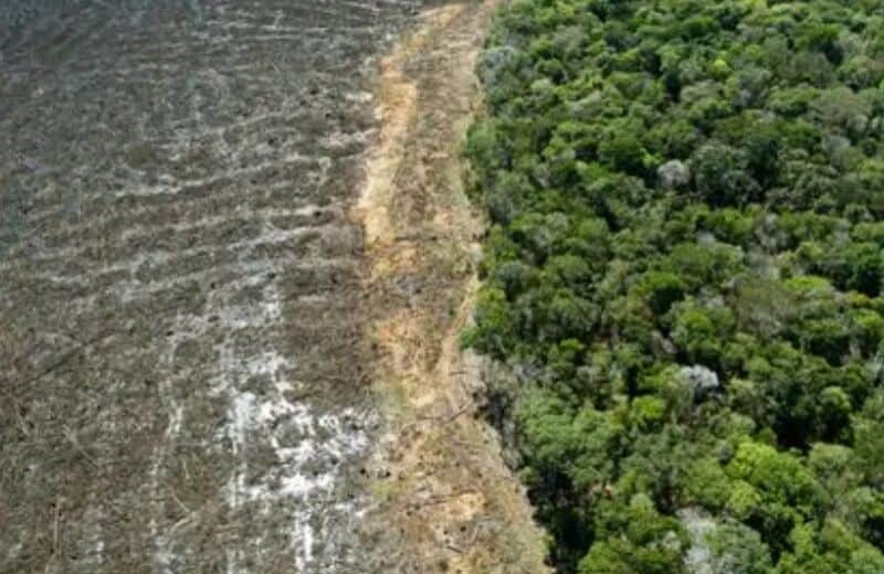 Por primera vez la Amazonia genera más dióxido de carbono del que absorbe