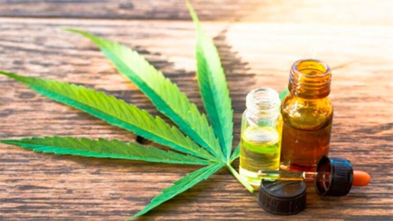 Cannabis medicinal: las respuestas positivas a la epilepsia refractaria superaron el 80%