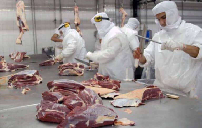 Nación flexibiliza las restricciones a la exportación de carne