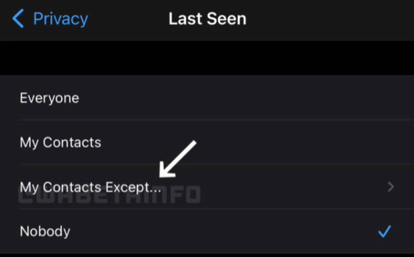 WhatsApp permitirá ocultar la hora de última conexión a contactos específicos