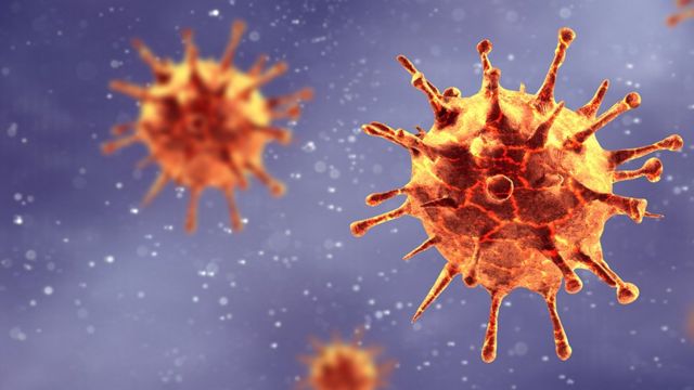 Científicos confirmaron que el coronavirus afecta los testículos y la calidad del esperma