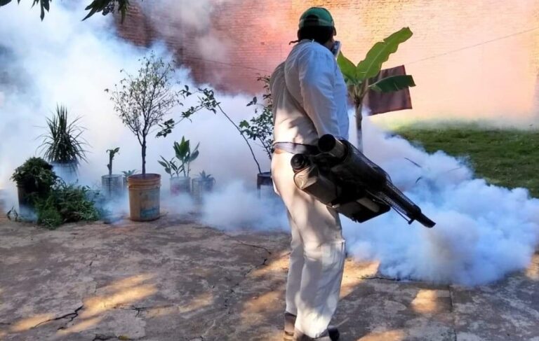 Intensifican las acciones para prevenir la proliferación del mosquito Aedes Aegypti en Posadas