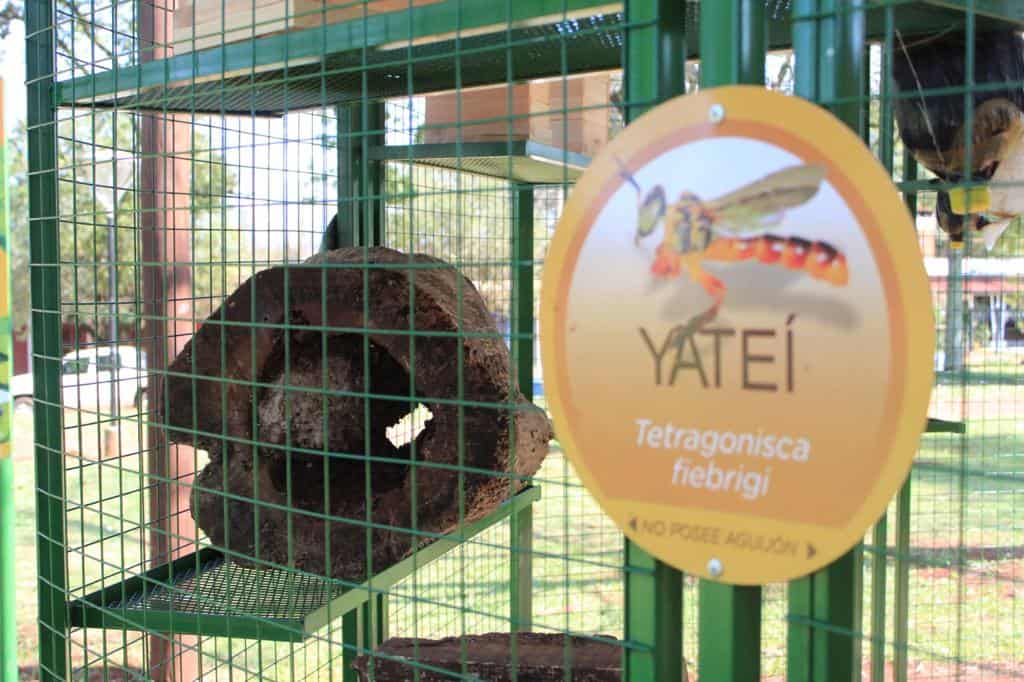 Campo Viera: firmaron convenio para otorgar créditos a productores tealeros 2 4 - fiesta del agricultor 3 - 3