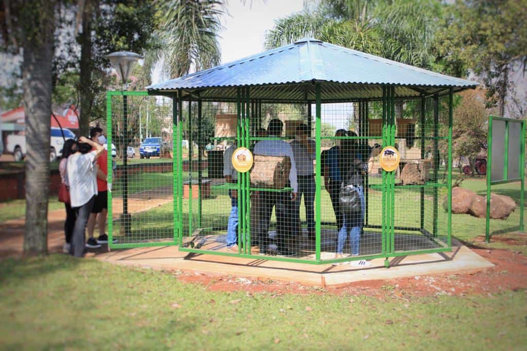 Campo Viera: firmaron convenio para otorgar créditos a productores tealeros 3 6 - fiesta del agricultor 4 - 5