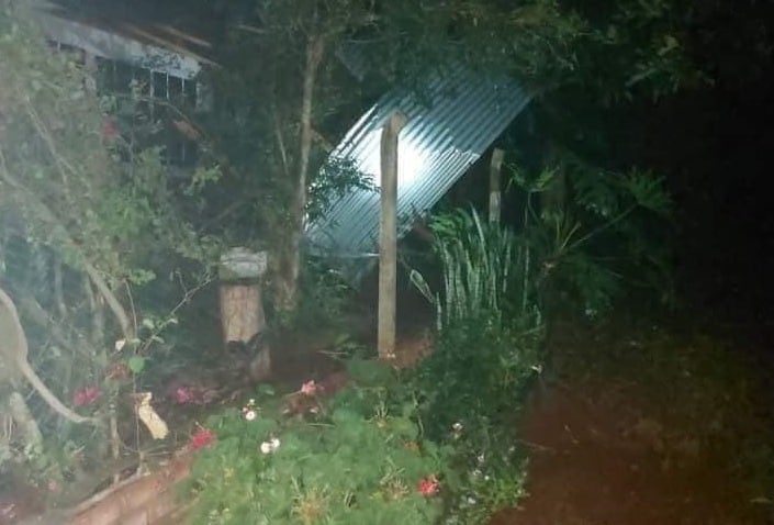 Temporal provocó voladura de techos, caída de árboles y tendido eléctrico en San Vicente
