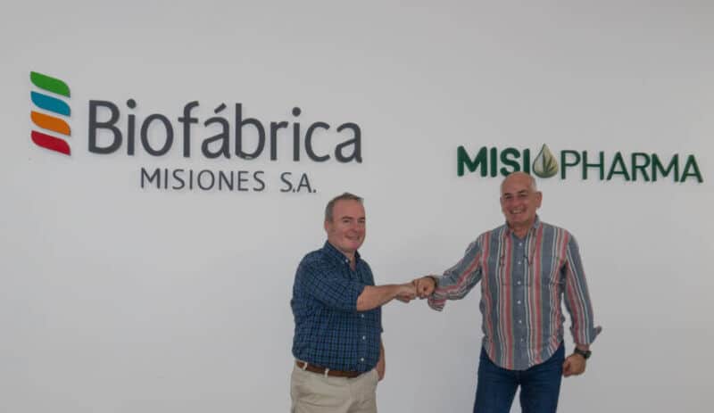 Cannabis medicinal: Biofábrica producirá vitroplantas clonales para garantizar la genética 2 4 - Cannabis 1 - 3