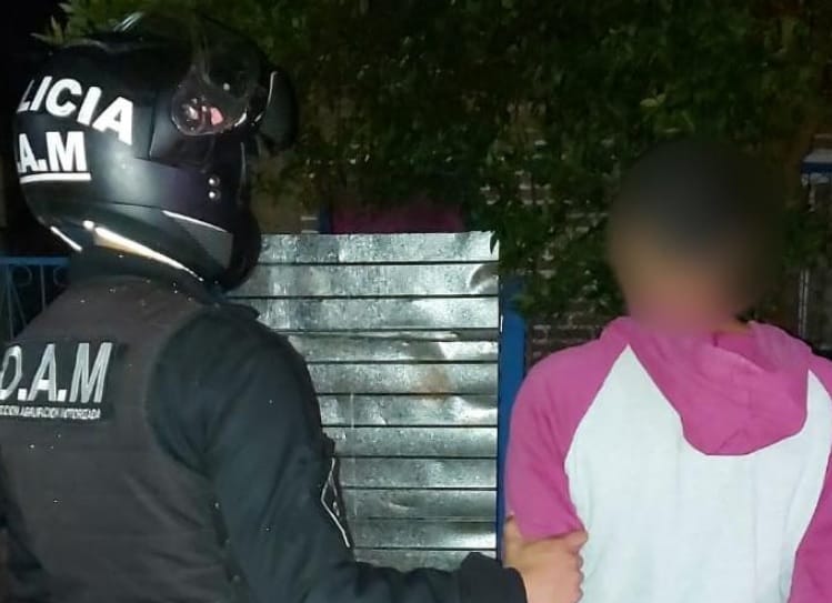 Recuperaron objetos robados y arrestaron a dos jóvenes en Posadas
