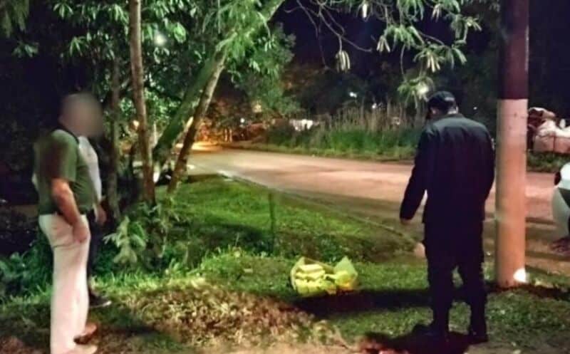 Secuestraron panes de  marihuana en un espacio verde de Eldorado