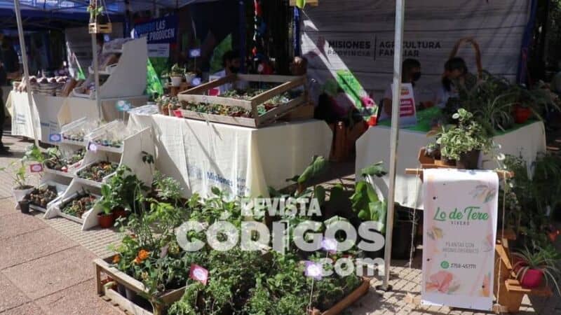 “Somos lo que Comemos”: comenzaron las actividades por el Día Mundial de la Alimentación