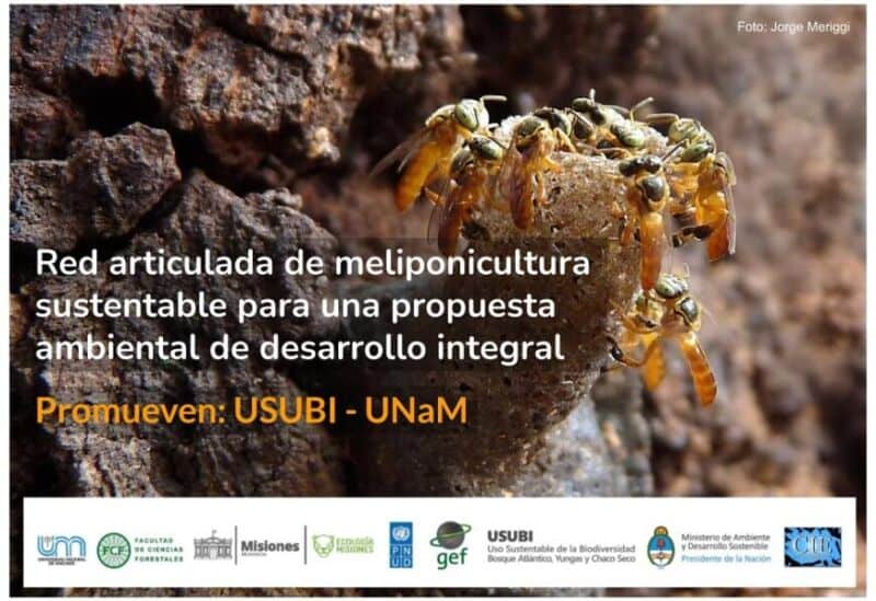 Red articualda de meliponicultura sustentable - 3