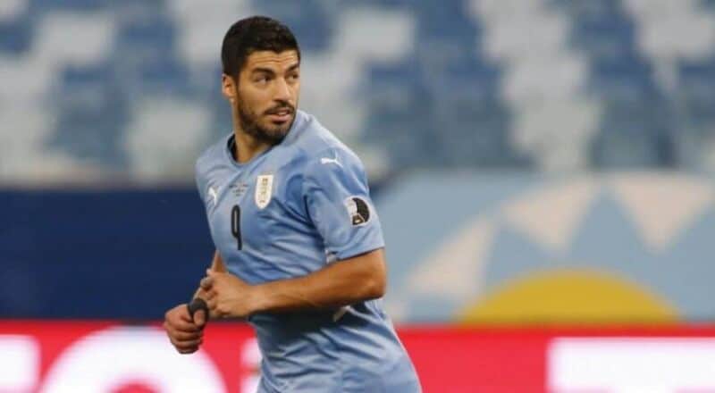 Luis Suárez, sobre la chance de Marcelo Gallardo en la Selección de Uruguay: "Sería un privilegio"