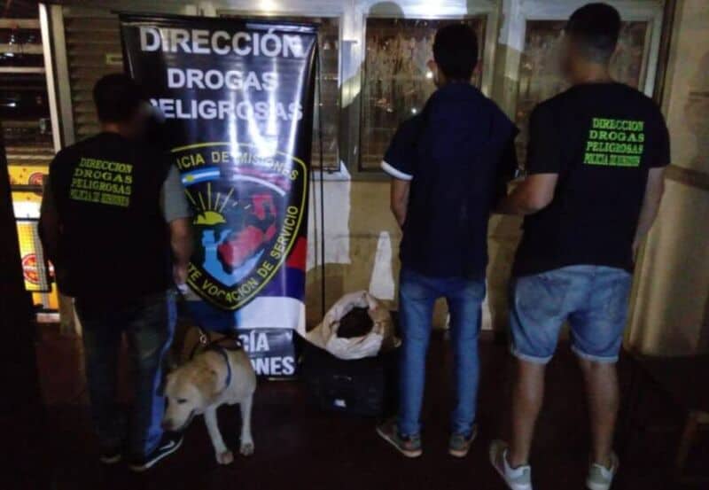 Magnum, el perro antinarcóticos detectó una valija con marihuana en la terminal de Posadas