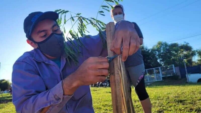 Cuidado del medioambiente: Posadas y Garupá unidos por la arborización metropolitana