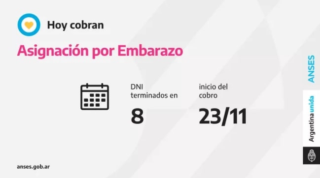 Pagos de ANSES: quiénes cobran este martes 23 de noviembre 2 4 - embarazo - 3