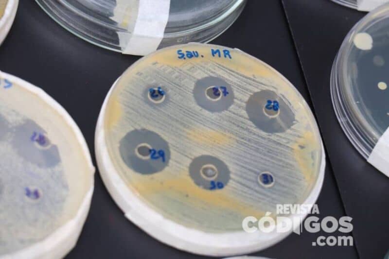 Semana de la Ciencia y la Tecnología: Kermes Científica IV en la plaza 9 de Julio 1 2 - kermes cientifica 1 - 1