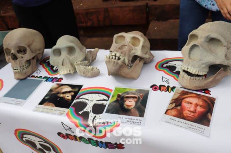 Semana de la Ciencia y la Tecnología: Kermes Científica IV en la plaza 9 de Julio 10 20 - kermes cientifica 10 - 19