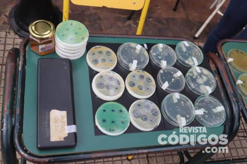 Semana de la Ciencia y la Tecnología: Kermes Científica IV en la plaza 9 de Julio 11 22 - kermes cientifica 11 - 21