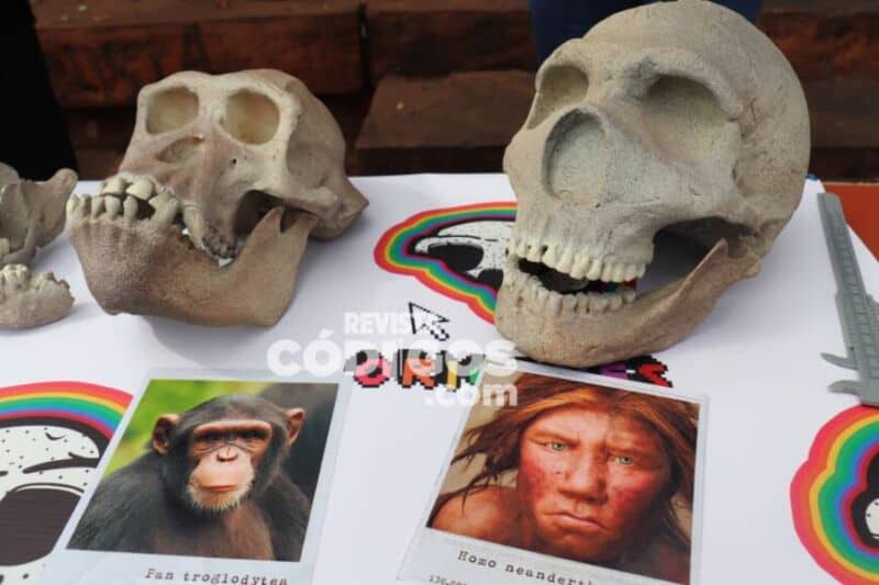 Semana de la Ciencia y la Tecnología: Kermes Científica IV en la plaza 9 de Julio 8 16 - kermes cientifica 8 - 15