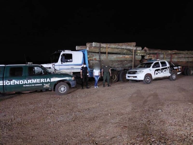 En San Vicente secuestraron un camión con madera presuntamente robada