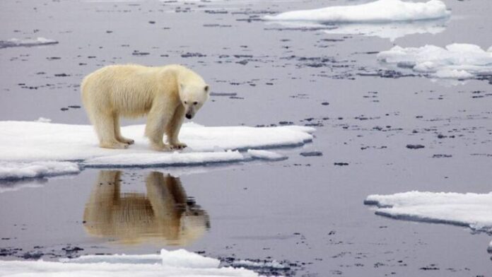 El récord de calor en el Ártico "enciende las alarmas" sobre el cambio climático