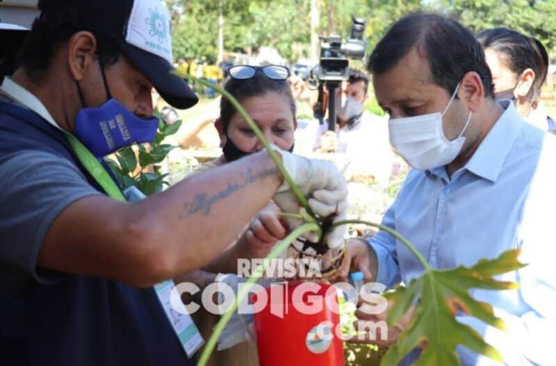 Misiones lanzó su campaña de Lucha contra el Dengue