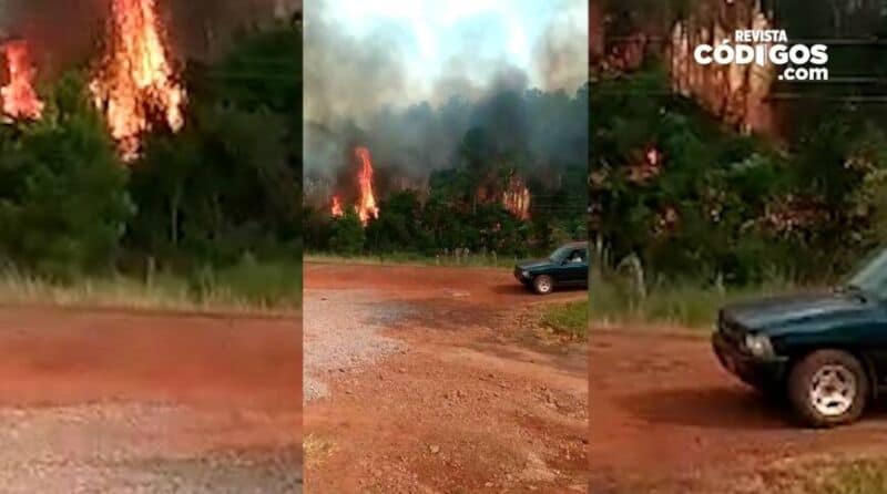Video: mirá las imágenes de los incendios en el Norte de Misiones