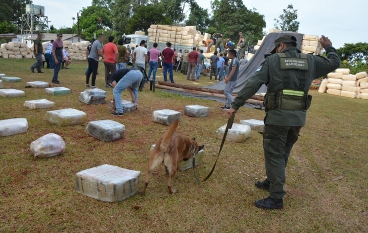 Gendarmes incautaron más de 4 toneladas de marihuana ocultas entre paquetes de aserrín en Montecarlo