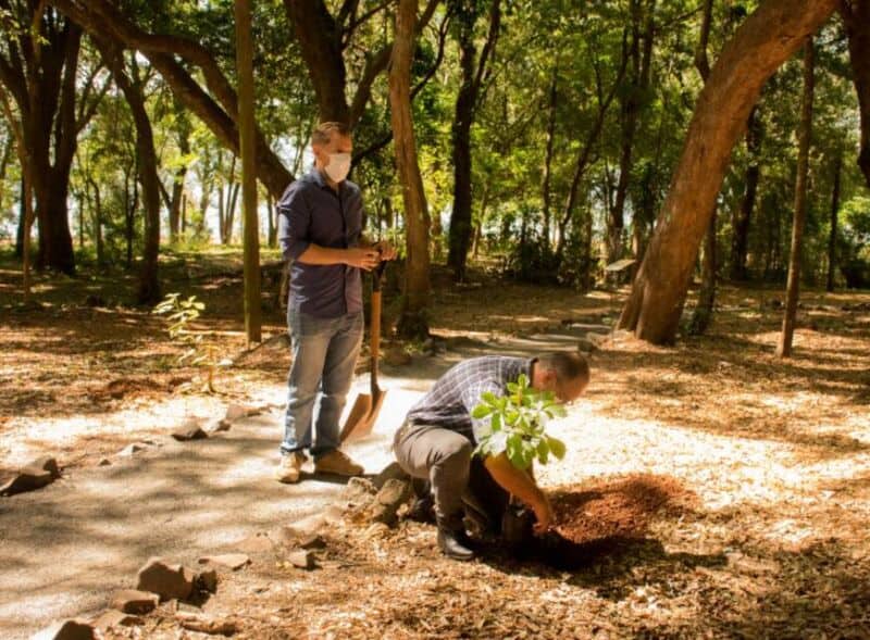 “Posadas se planta”, el nuevo programa de forestación participativa del arbolado urbano