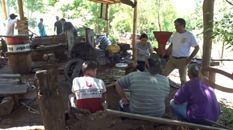 Crece la producción comunitaria de azúcar agroecológica en el paraje “Los Galpones” de San Javier