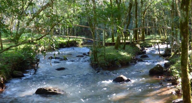 Camping Santa Rita, un lugar para disfrutar de la naturaleza y opacar el calor