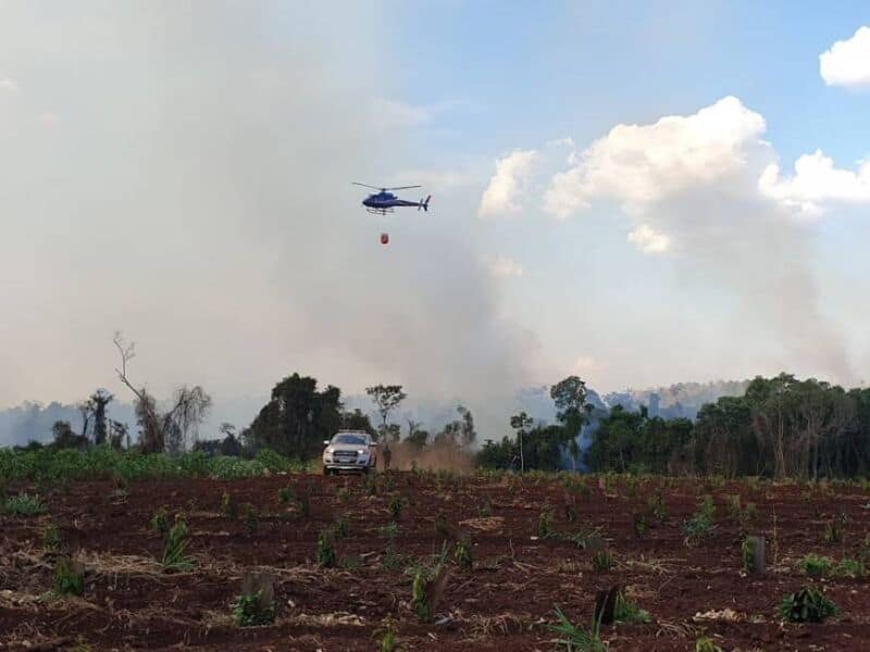 Incendios en Misiones: “La situación es preocupante, pedimos responsabilidad