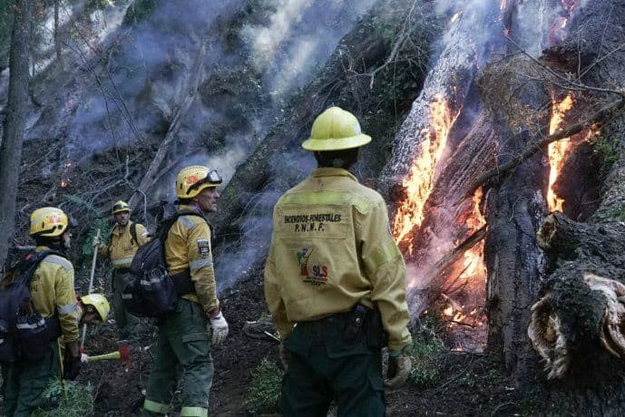 Los incendios forestales en la Patagonia no dan tregua y varias provincias continúan con focos activos