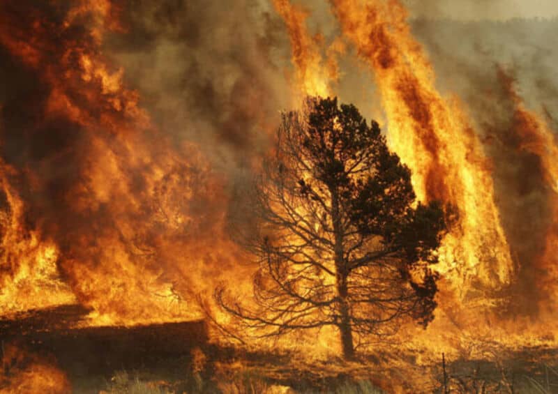 Misiones, nuevamente con peligro extremo de incendios: piden extremar cuidados