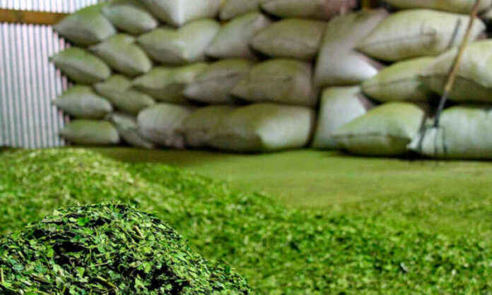 Entre enero y noviembre el consumo interno de yerba mate acumuló 261,4 millones de kilos