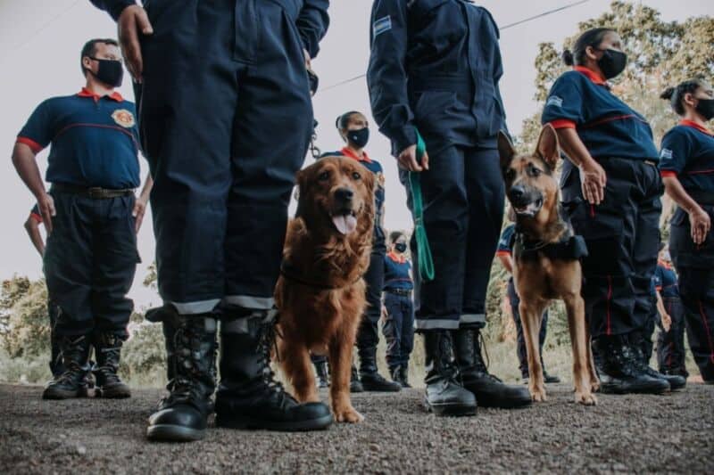 Bomberos voluntarios de Oberá recibieron una nueva ambulancia de alta complejidad 4 8 - 6 Entrega de Unidad de Rescate Bomberos %E2%80%93 Obera - 7