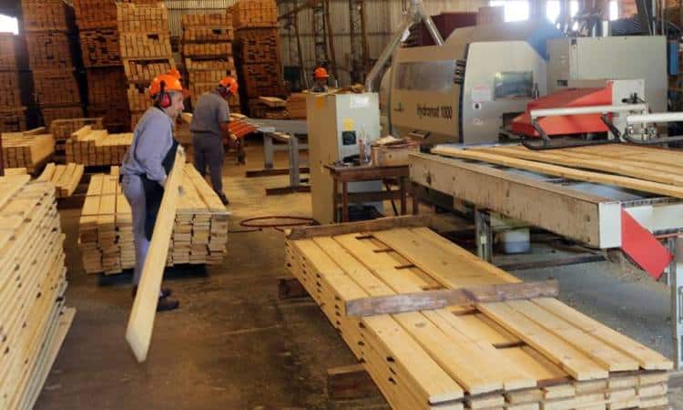 Safrán: “La industria forestal misionera es más pujante y robusta que la correntina”