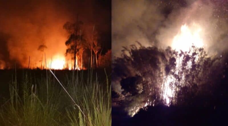 Bomberos sofocaron incendios de malezas en Corpus y Azara