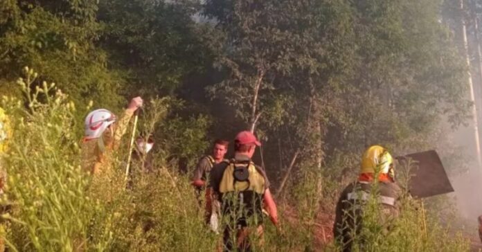 Extinguieron varios focos de incendios en El Soberbio, San Vicente y San Ignacio