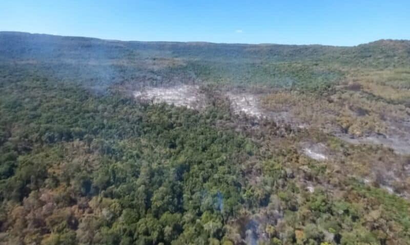 Los focos de incendios siguen activos en Misiones y redoblan los trabajos por tierra y aire para combatirlos