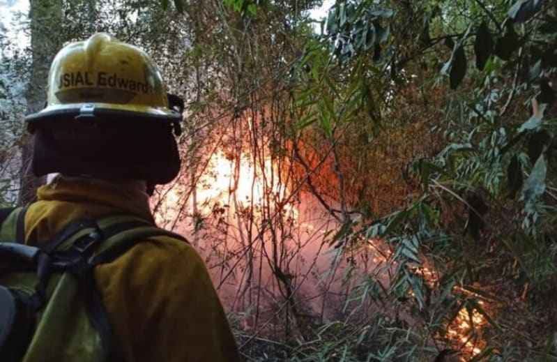 Misiones, Corrientes y Río Negro registran incendios forestales activos