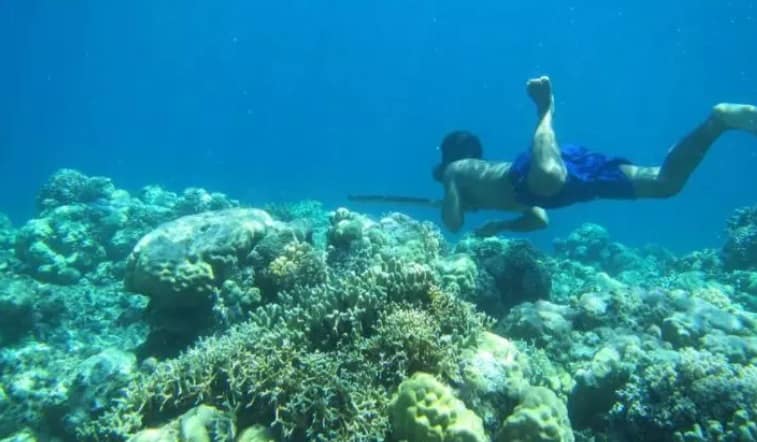 Nómadas marítimos: la tribu que aprendió a vivir hasta 13 minutos bajo el agua