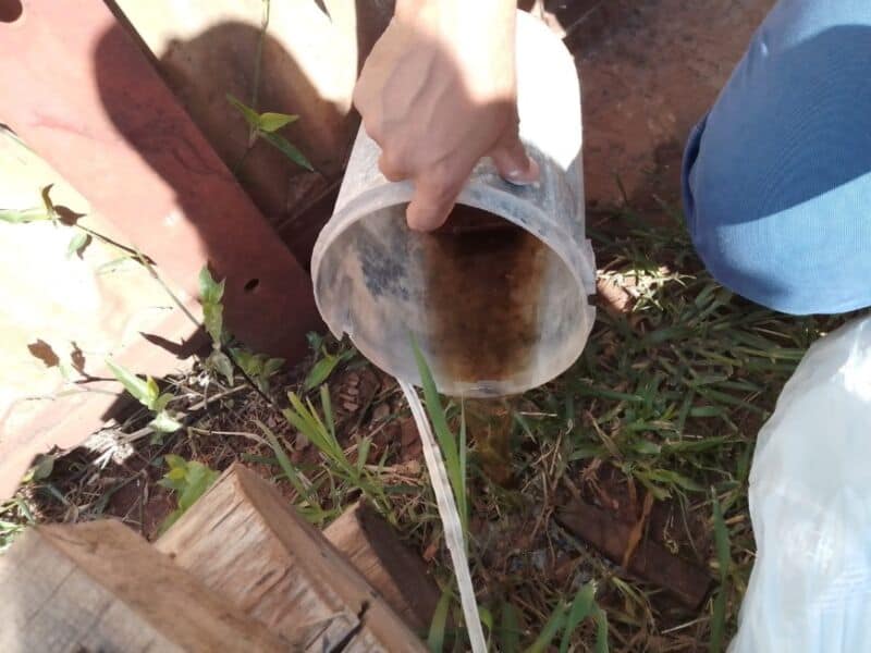 Control de vectores en Garupá y Eldorado y Gobernador Roca 7 14 - Vector Eldorado 1 - 13