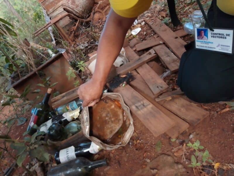 Control de vectores en Garupá y Eldorado y Gobernador Roca