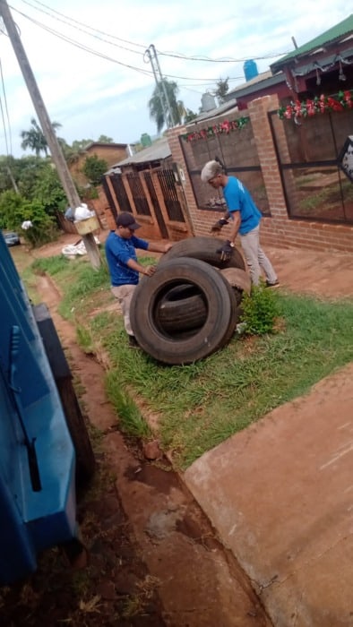 Control de vectores en Garupá y Eldorado y Gobernador Roca 8 16 - Vector Eldorado 3 - 15